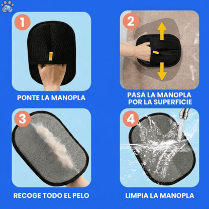 La Solución Definitiva Contra el Pelo de Perros y Gatos