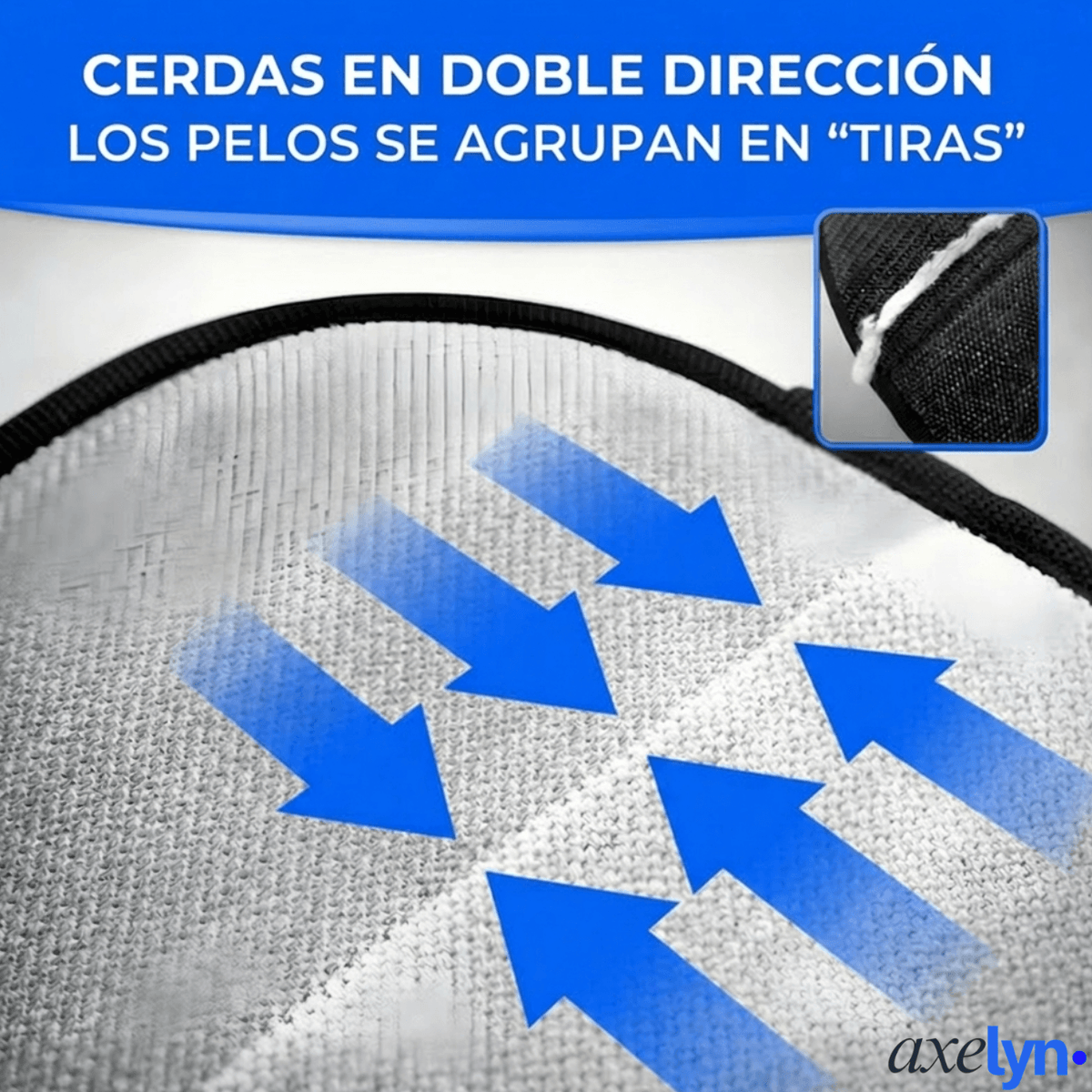 La Solución Definitiva Contra el Pelo de Perros y Gatos
