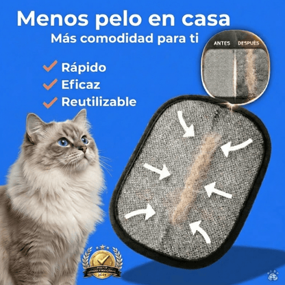 La Solución Definitiva Contra el Pelo de Perros y Gatos