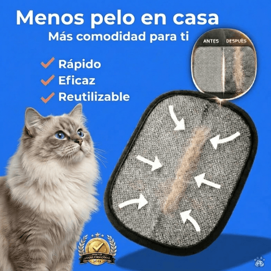 La Solución Definitiva Contra el Pelo de Perros y Gatos