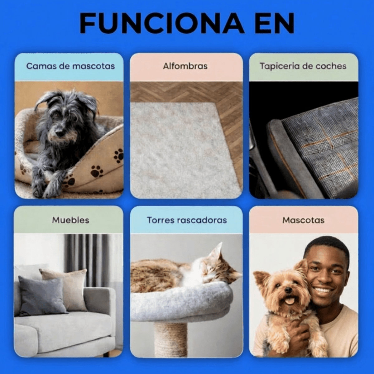 La Solución Definitiva Contra el Pelo de Perros y Gatos