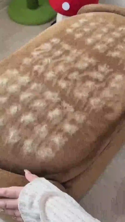 La Solución Definitiva Contra el Pelo de Perros y Gatos