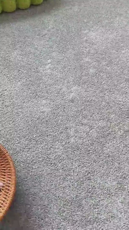 La Solución Definitiva Contra el Pelo de Perros y Gatos